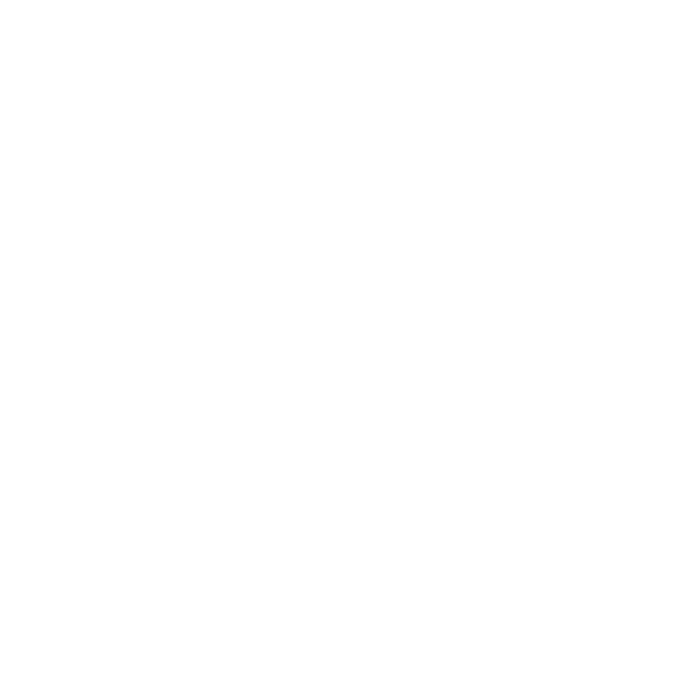 Fly with Helius Logo
